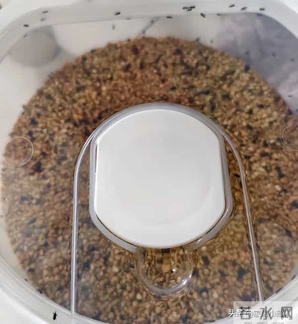 太坑人了！这7个“网红产物”真垃圾，什么玩意，买了就是浪费钱