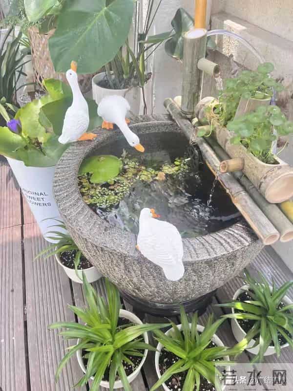 有了院子，一定要放个水缸，院里那口缸，是安放灵魂的老地方