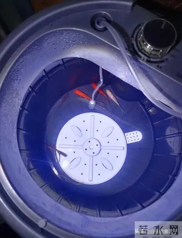 闲置旧家电别只当废品卖！网友的脑洞改造，让你直呼亏大了