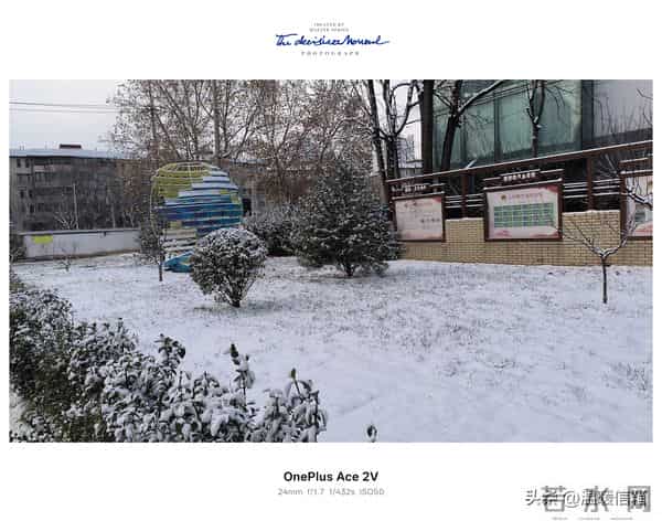 家中突然出现三种变化，幸福悄悄降临，子女福气也跟着一起到来！