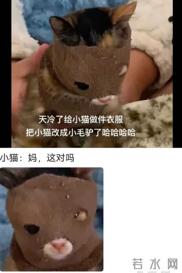 又到了重温陈奕迅经典语录的时候 - 冷段子3430 & 去年今日3080