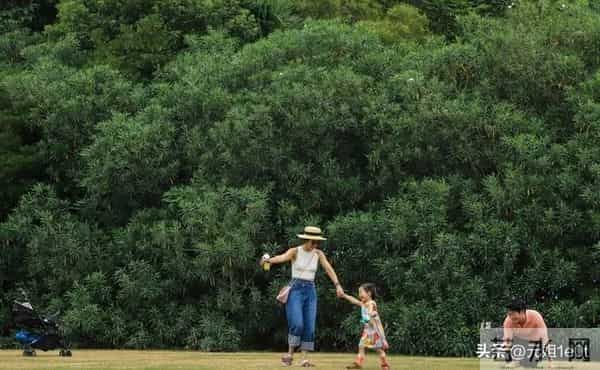 2026年,孩子好运爆棚,全家迎来转机,高光时刻近在眼前!