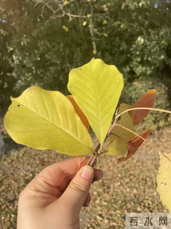 想要“省钱”中老年人最该记住的八句话