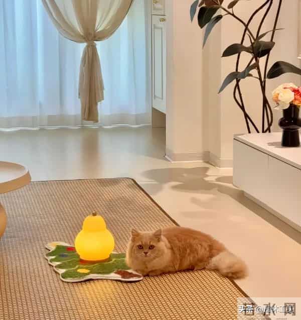 这些越用越爽的生活技巧，分文不花，第一个想出来的是天才吧！