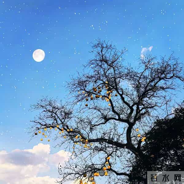 朋友圈背景图头像