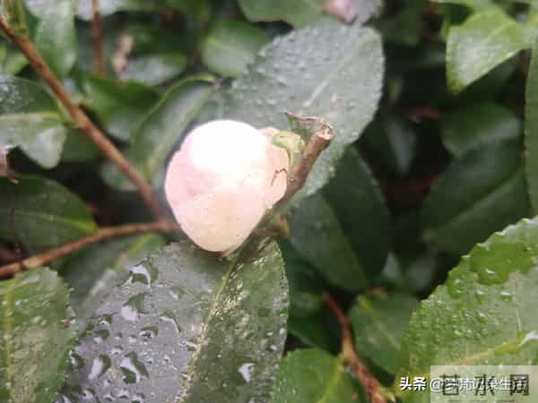 每个人都有自己的底线我不知道将来自己的亲人会不会试探我的底线