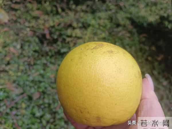 每个人都有自己的底线我不知道将来自己的亲人会不会试探我的底线