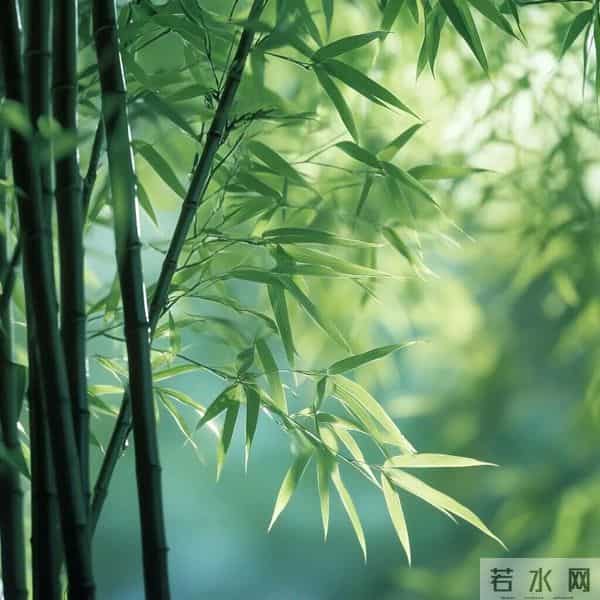 男人用的最最吉利头像