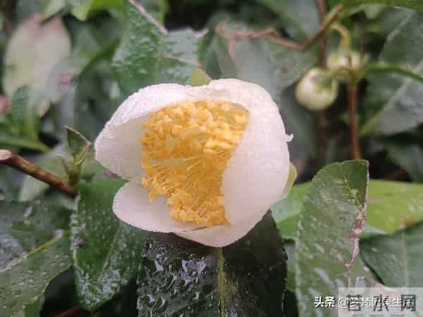 每个人都有自己的底线我不知道将来自己的亲人会不会试探我的底线