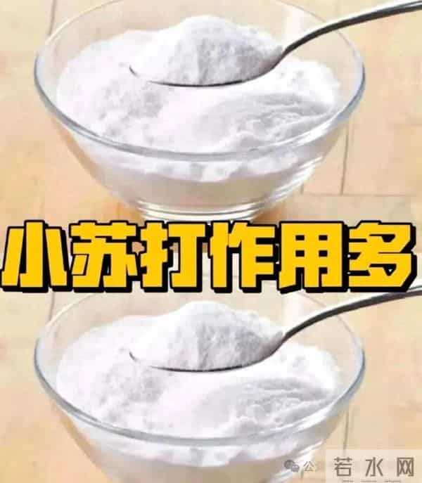 小苏打是“养花万能肥”，太好使了，不招虫不得病，养啥花都能旺