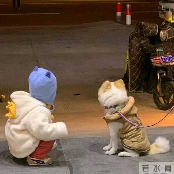 朋友圈背景图头像