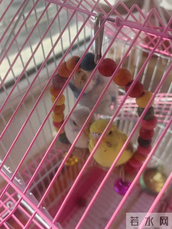 东北人养老到底选择鲅鱼圈好还是葫芦岛好