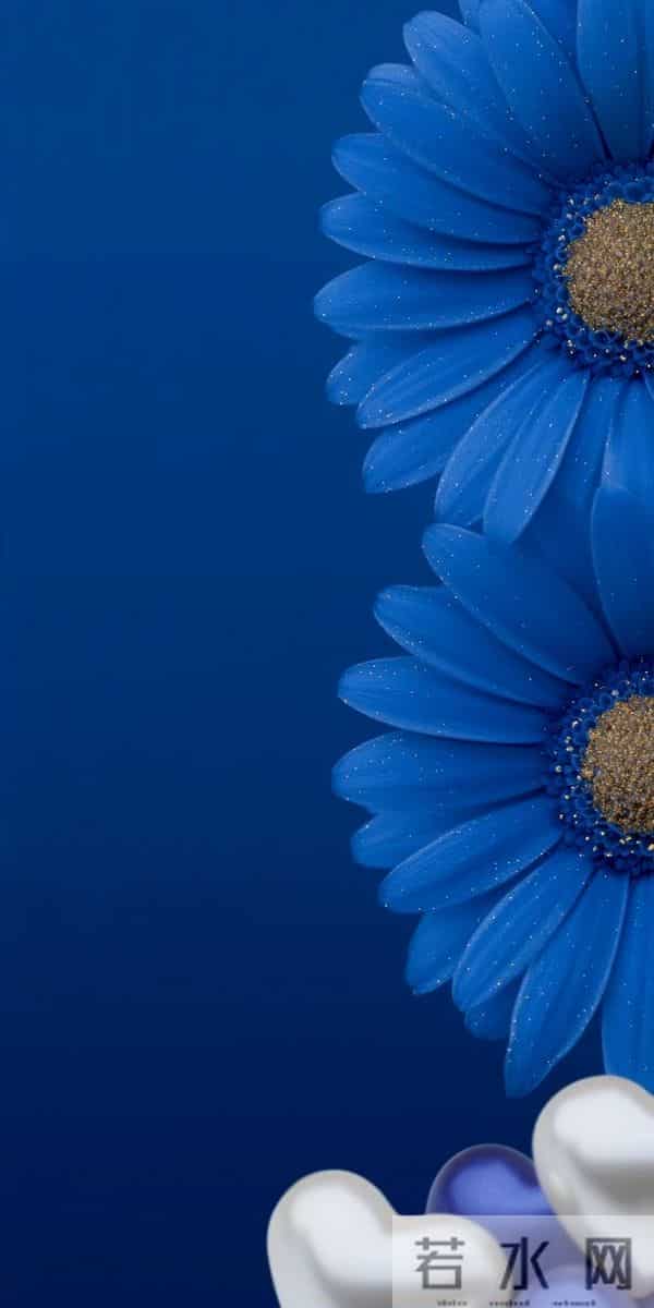 蓝 色 郁 金 香 高 清 壁 纸