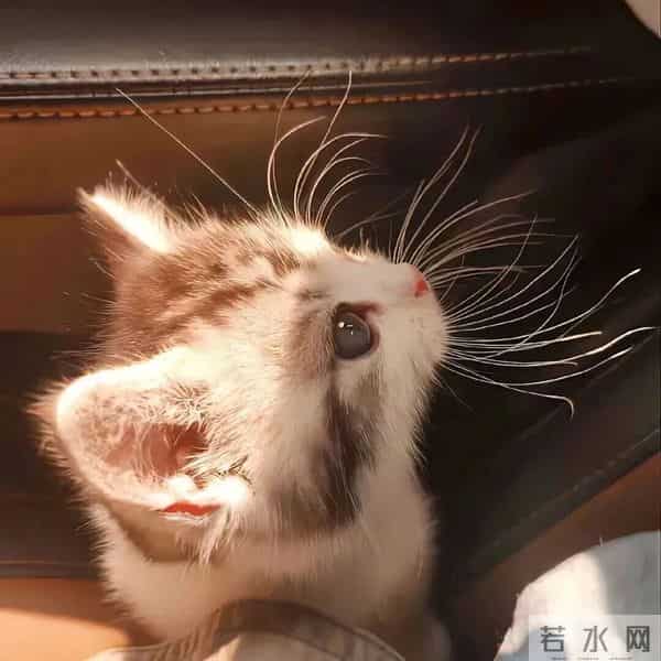 朋友圈背景图头像