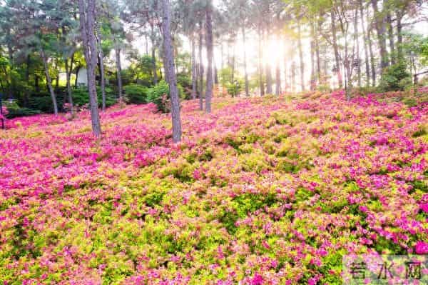 现在的人都很现实，手里没钱，大多数都装不下去了