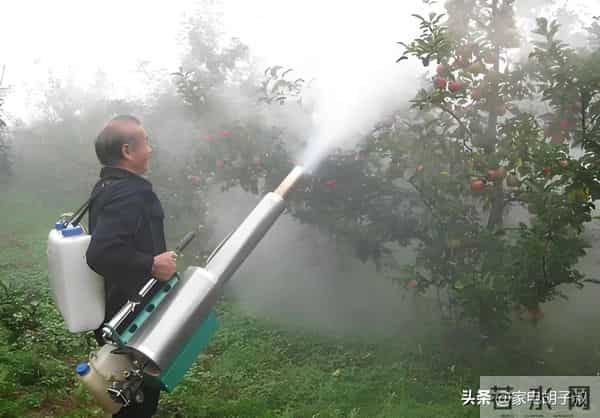 曾被吹上天，如今却“沦为笑柄”的9种家电，你交过智商税吗？