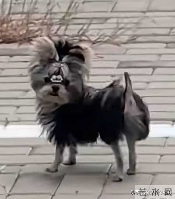 灵魂画像,和本尊长得真是一模一样,以为是抽象派,其实是写实派