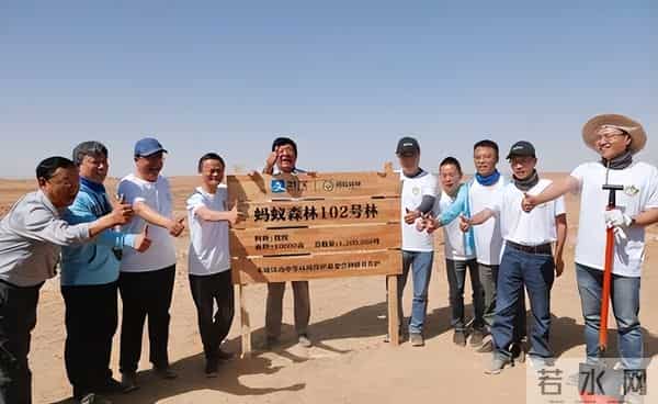 马云斥巨资在沙漠里种树,承诺每年1亿棵,9年过去了,树怎样了