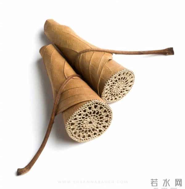 艺术家的手里真的什么都可以变美！艺术家 Susanna Bauer 树叶的艺术