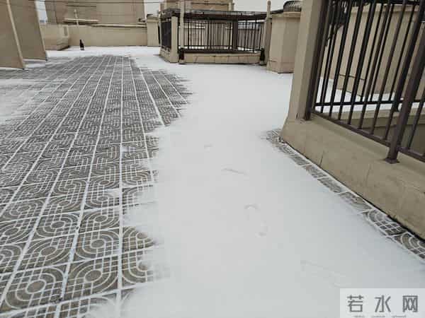 今天是2025年的第一场雪，小外孙恰逢没来，那我就借机撒撒欢吧！