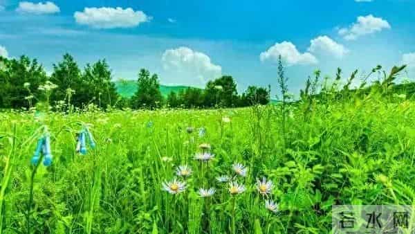 50岁后，存款够这个数就别瞎攒了：钱是活的，日子别过成死的