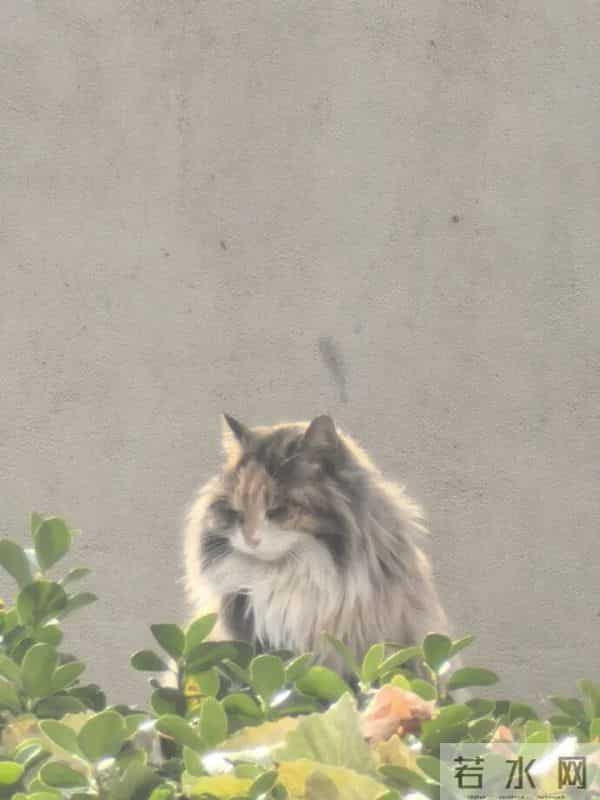 又到了重温陈奕迅经典语录的时候 - 冷段子3430 & 去年今日3080