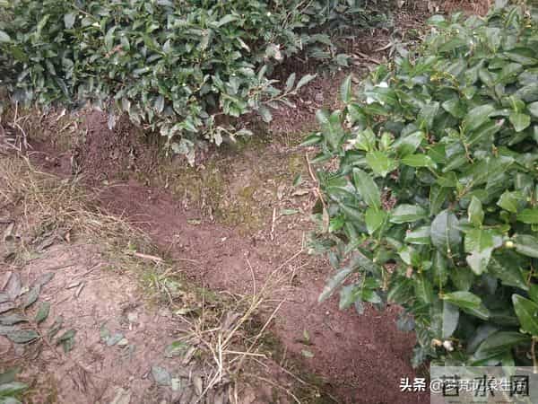 每个人都有自己的底线我不知道将来自己的亲人会不会试探我的底线