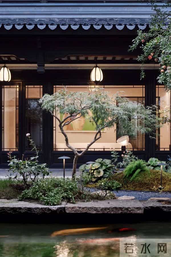 种树一定要种对位置！种错位置，后悔一辈子！