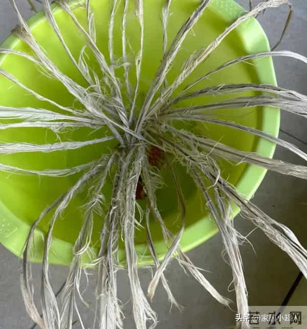 太坑人了！这7个“网红产物”真垃圾，什么玩意，买了就是浪费钱