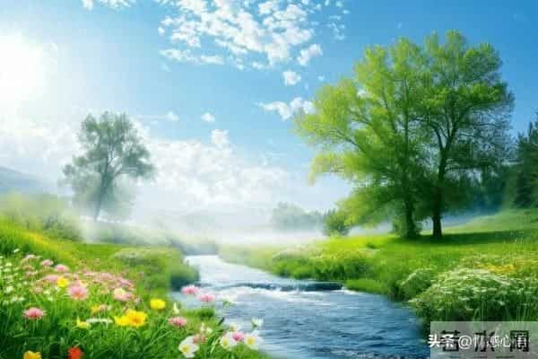 这5种花不要“换大盆”，小盆“憋着养”，疯狂冒花苞