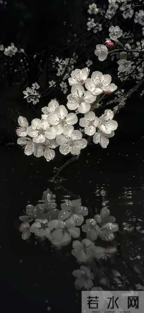 8K壁纸：景花儿锁屏