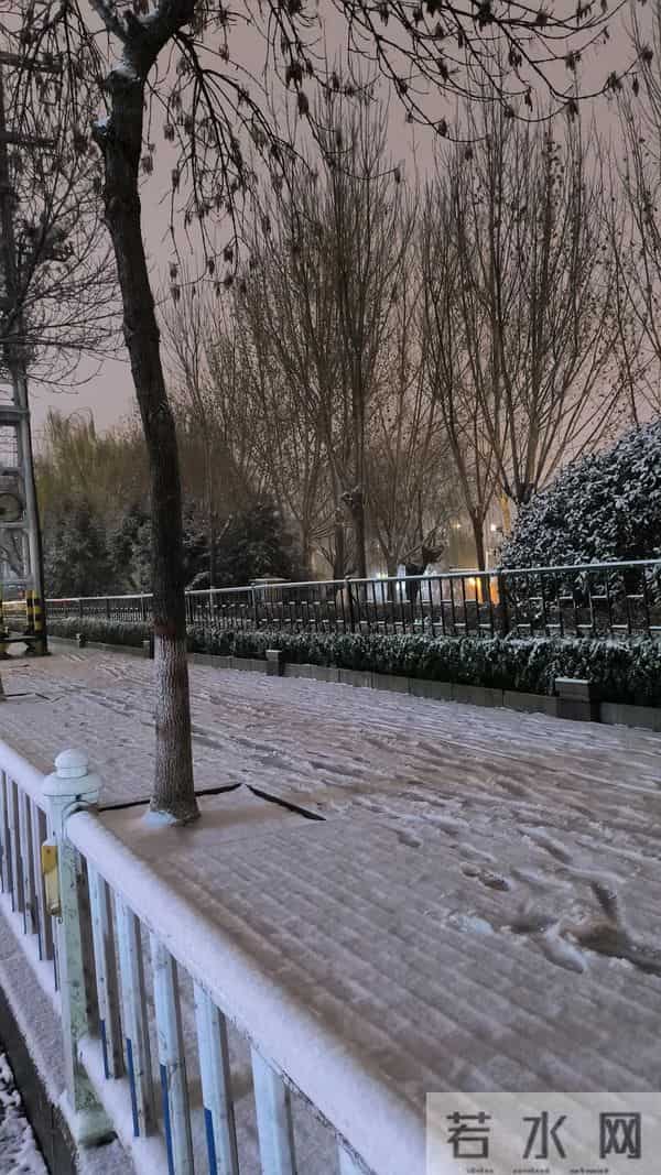 好爱这个冬天，好爱这场雪