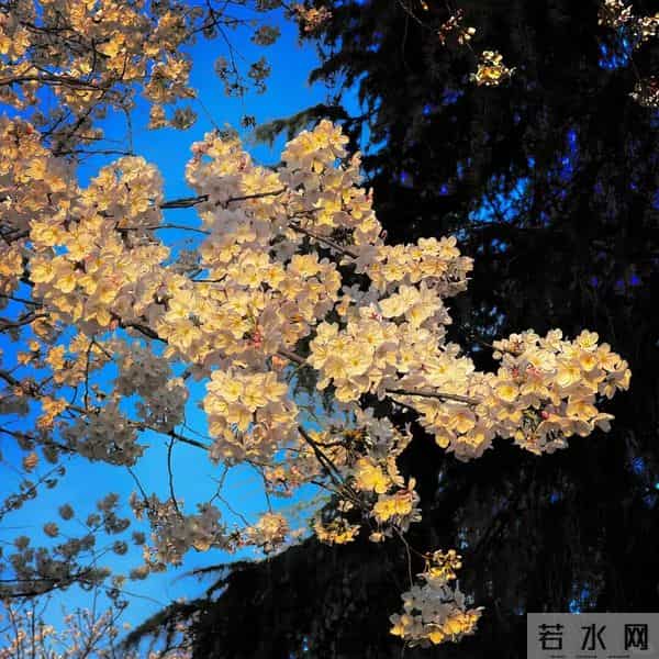 朋友圈背景图头像