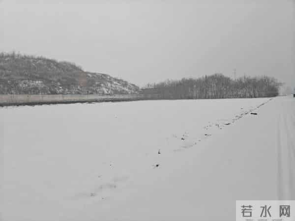 人家下雪天往家跑，而我下雪天往菜地跑，是憨了还是傻了？