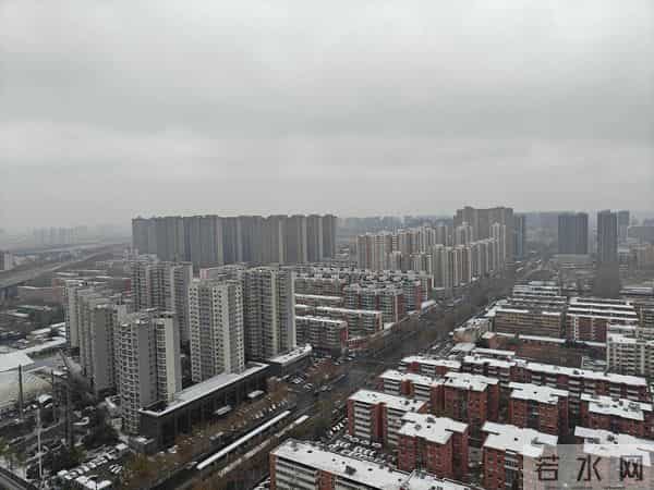 今天是2025年的第一场雪，小外孙恰逢没来，那我就借机撒撒欢吧！