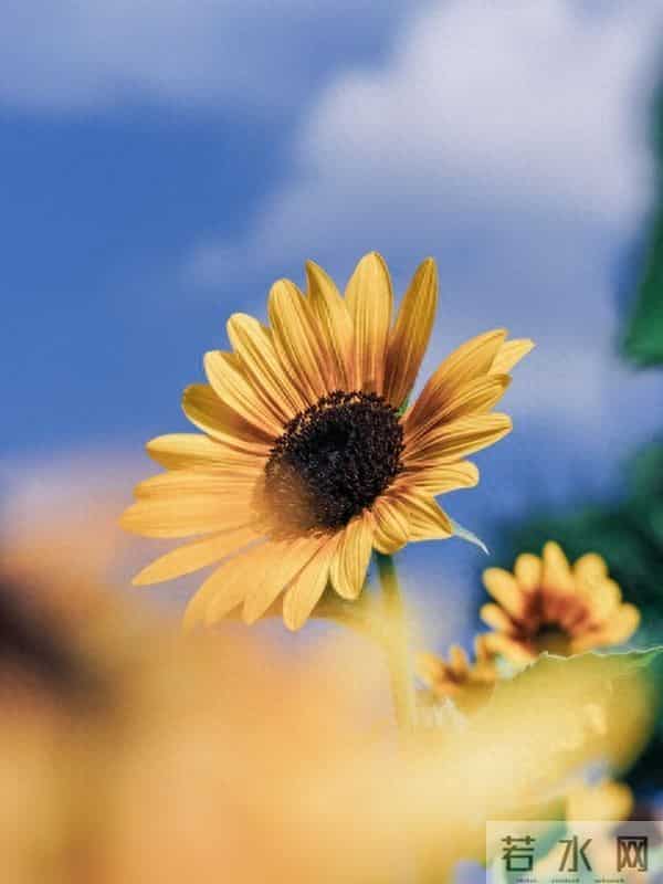 藏了8年的生活小偏方，低成本而且还好用，家家都能用