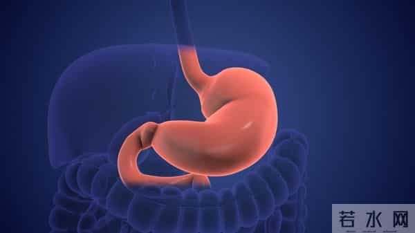 45岁男子，坚持饿肚子不吃晚饭，半年之后，血糖和体重情况如何