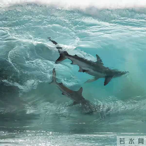 朋友圈背景图头像