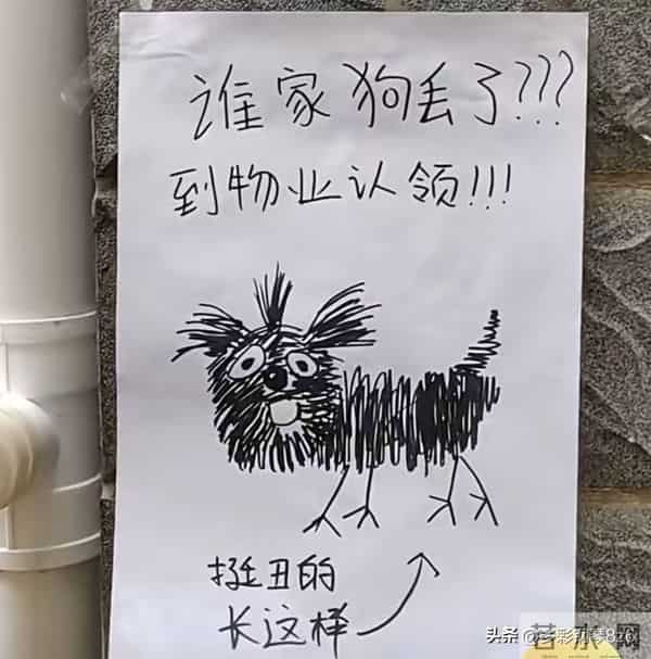 灵魂画像,和本尊长得真是一模一样,以为是抽象派,其实是写实派