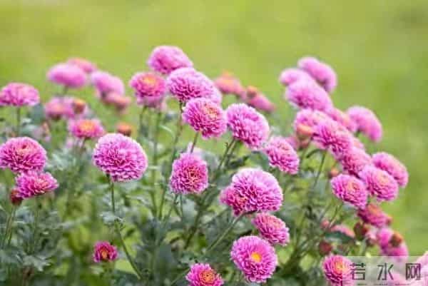 我把家里的旧衣服全部扔掉后,奇怪的事情发生了