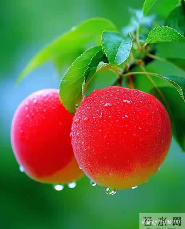 男人遇见真爱时，会有的顶级表现：两个字！