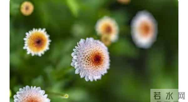 柳玉真握着手机,指尖微微发凉。茶室里的冷气似乎开得太足了,…