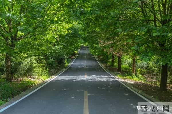 你家孩子，是来报恩的顶级天命，你没注意到天意让你刷到此文？