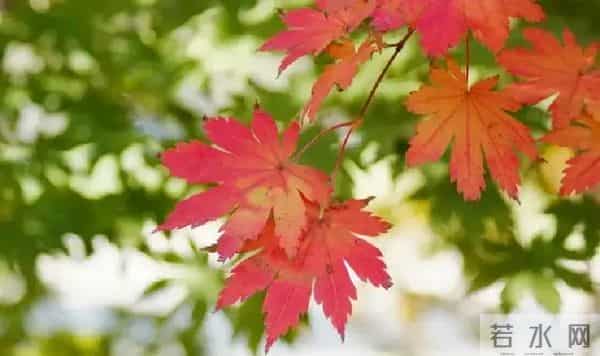 家宅旺否?瞄俩地方!无需请人,非迷信。