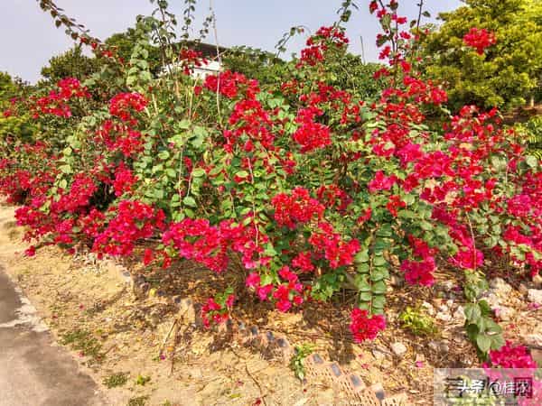 玄学：你知道你的命是几两重？富贵还是贫贱？其实贫富之分在此！