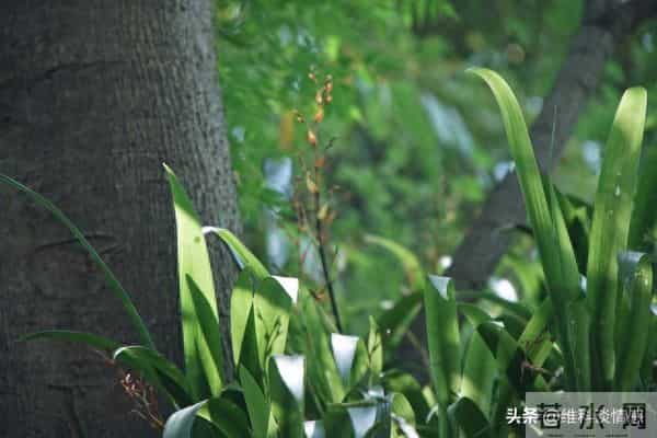 有富之人，藏不住”：有福气的男人，身上有这3个特点