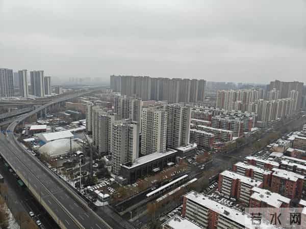 今天是2025年的第一场雪，小外孙恰逢没来，那我就借机撒撒欢吧！