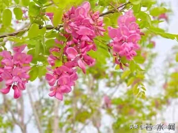 门口放一天，家里穷三年，门口不能放什么？今天终于明白了。