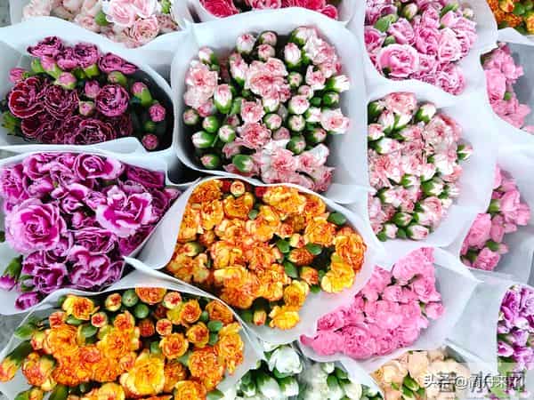 20种花店常见花材图片分享，有你喜欢的吗？