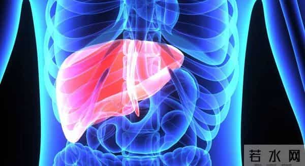 45岁男子，坚持饿肚子不吃晚饭，半年之后，血糖和体重情况如何